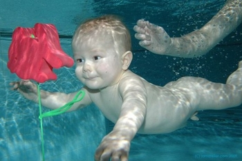 plavání dětí